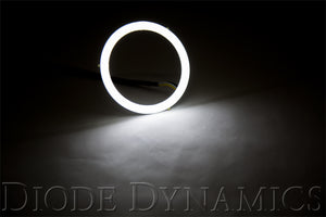Diode Dynamics Halo Lights LED 185mm Switchback (Pair)
