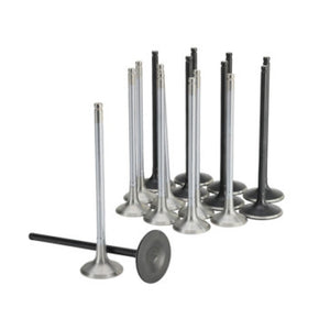 Skunk2 Honda K20C1 Alpha Series Intake & Exhaust Valve Set (Standard Compression)