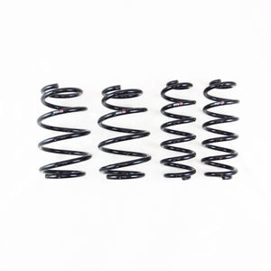 RS-R 19-25 Toyota RAV4 Prime Down Sus Springs