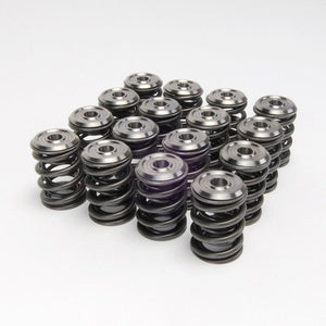 Skunk2 Honda / Acura B Series Alpha Titanium Retainer Kit