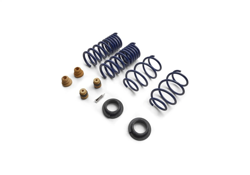 Ford Racing 15-24 Mustang Street Lowering Spring Kit