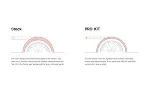 Eibach Pro-Plus Kit for 17-20 Tesla 3 Long Range (RWD)
