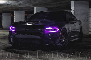 Diode Dynamics 2015-2018 Dodge Charger RGBW DRL LED Boards