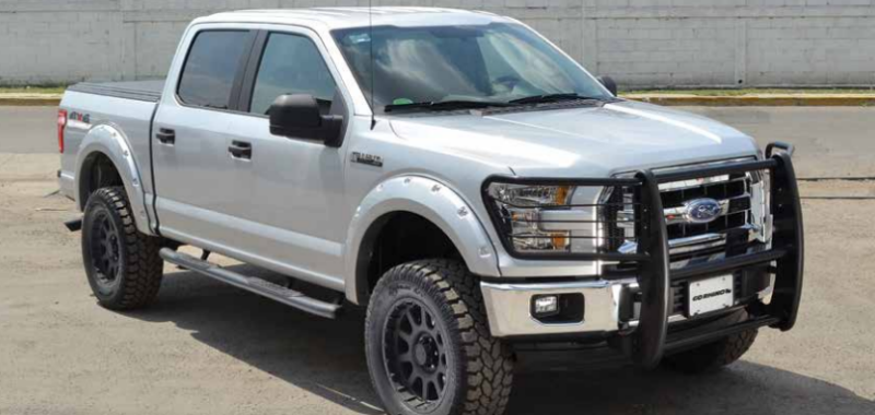 Go Rhino 15-17 Ford F-150 (Excl. ACC Models) 3000 Series StepGuard Center Grille + Brsh Grd - Chrome