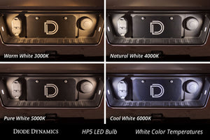 Diode Dynamics 194 LED Bulb HP3 LED Natural - White Short (Pair)