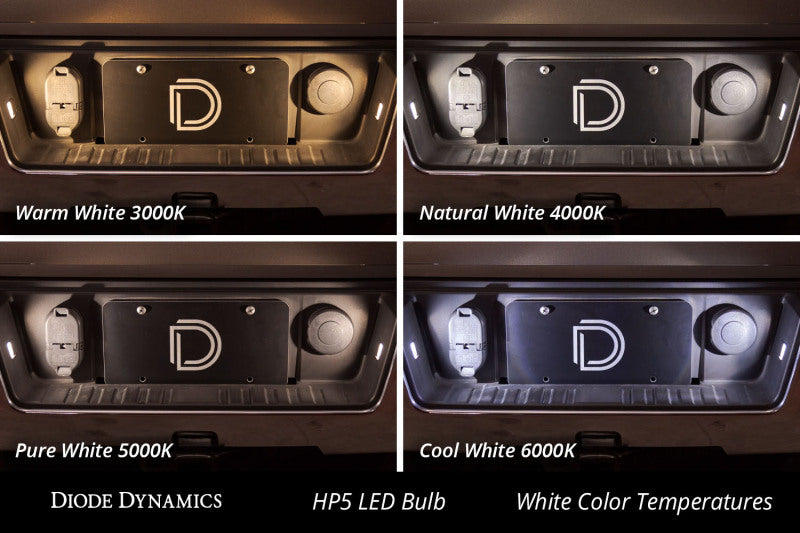 Diode Dynamics 194 LED Bulb HP5 LED Warm - White Short (Pair)
