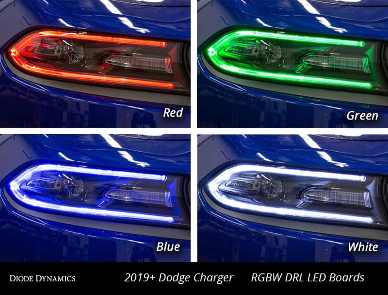 Diode Dynamics RGBW DRL LED Boards for 2019-2021 Dodge Charger