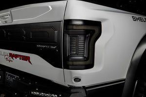 Oracle Lighting 15-20 Ford F-150 Reverse LED Modules Flush Tail Light - Tinted