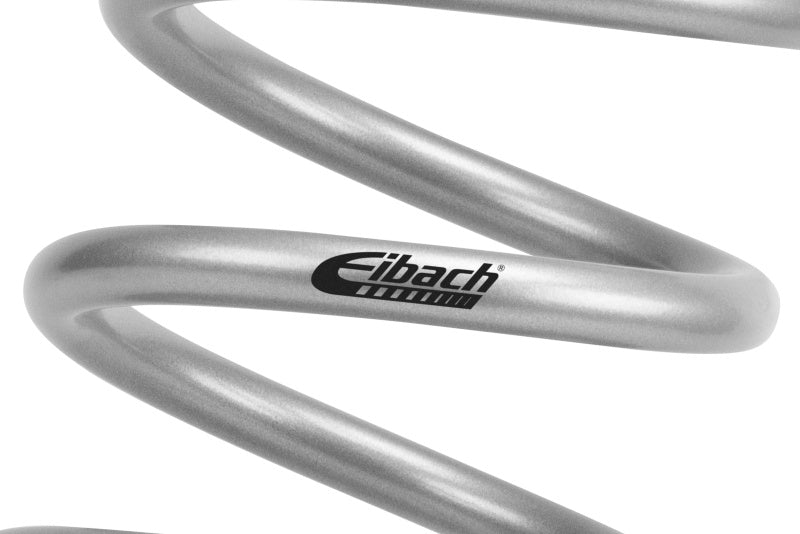 Eibach 4th Gen RAM 2500 Pro Lift Kit HD Rear Springs
