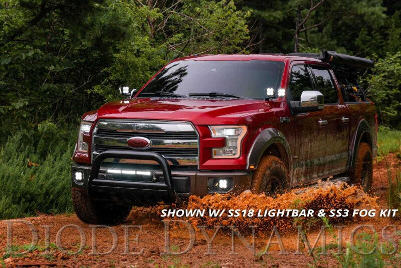Diode Dynamics 15-20 Ford F-150/Raptor Sport SS3 LED Ditch Light Kit - White Combo