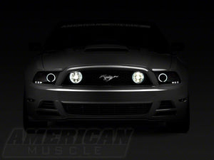 Raxiom 13-14 Ford Mustang GT CCFL Halo Fog Lights- Chrome