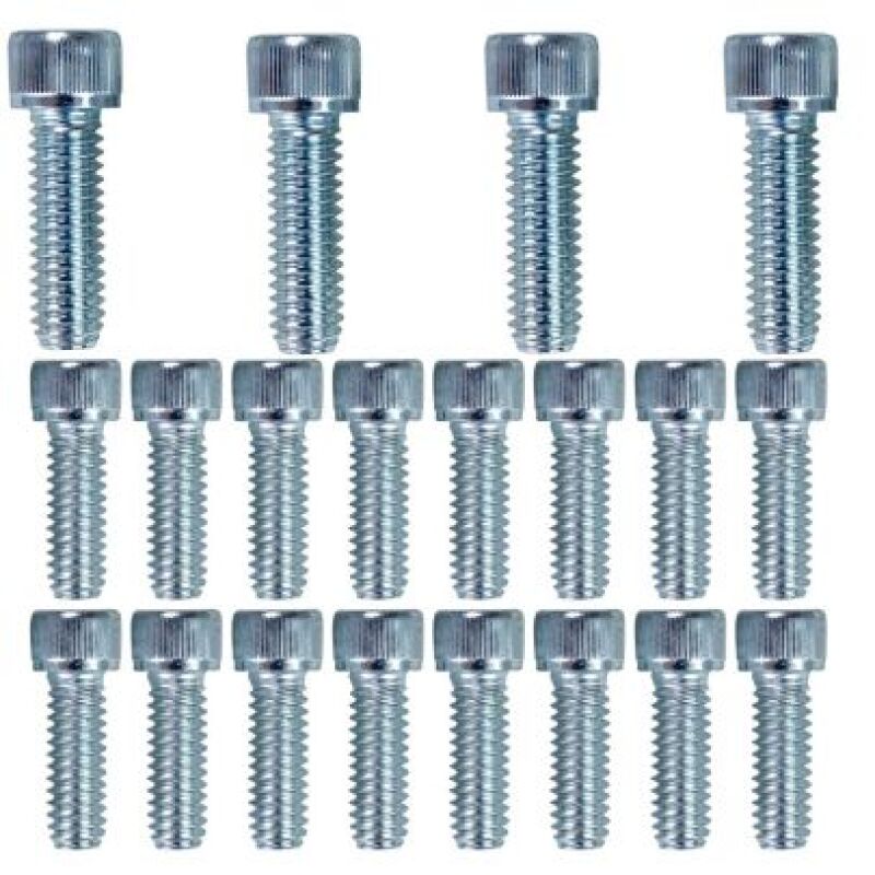 Moroso Small Block Ford 302/351W Fabricated Oil Pan Bolt Kit