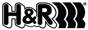 H&R 09-17 Volkswagen CC VR6 Replacement Front Spring (For 36258-5) - Single
