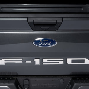 Putco 18-20 Ford F-150 (Cut Letters/Stainless Steel) Tailgate
