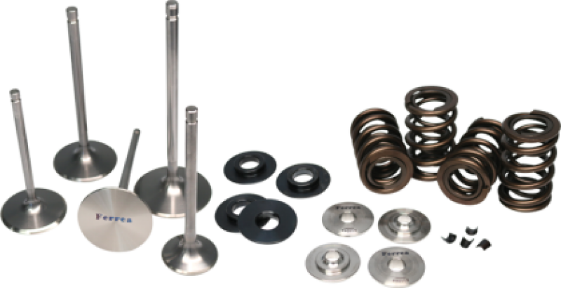 Ferrea 2014 Polaris RZR XP 1000 Valve Spring Kit