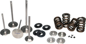 Ferrea 01-08 Kawasaki KLX 400/KFX 400 Valve Spring Kit