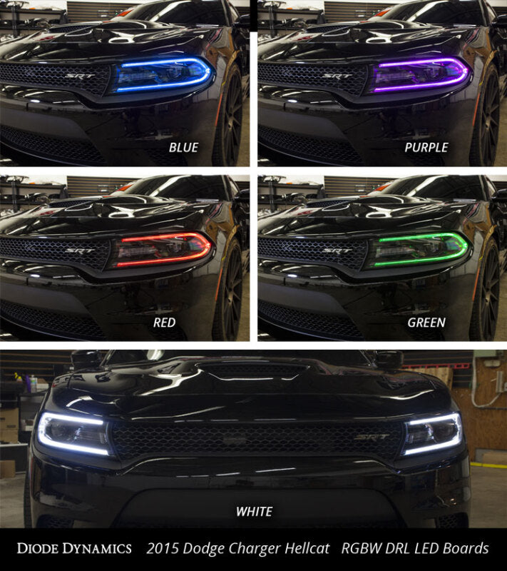 Diode Dynamics 2015-2018 Dodge Charger RGBW DRL LED Boards