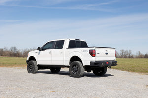 Rough Country Power Running Boards Dual Electric Motor | Crew Cab | Ford F-150 (09-14)