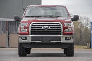 Rough Country N3 Leveling Struts 2 Inch | Loaded Strut | Ford F-150 2WD (2014-2026)