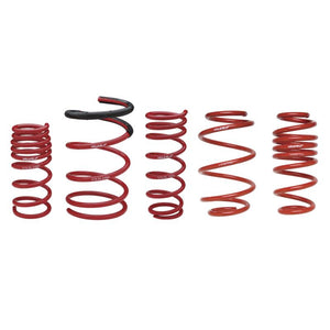 Skunk2 Universal Race Spring (Elliptical) - 6 in.L - 2.5 in.ID - 14kg/mm (0600.250.014E)