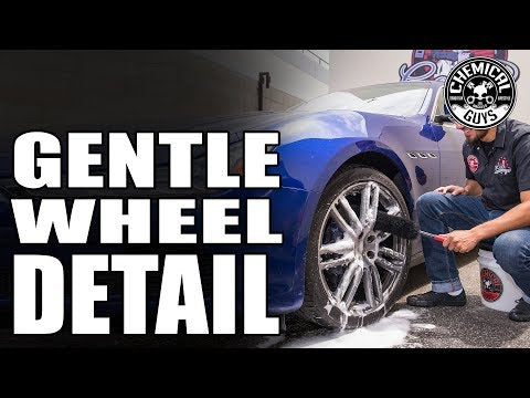 Chemical Guys Gerbil Wheel & Rim Brush